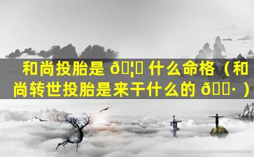 和尚投胎是 🦋 什么命格（和尚转世投胎是来干什么的 🌷 ）